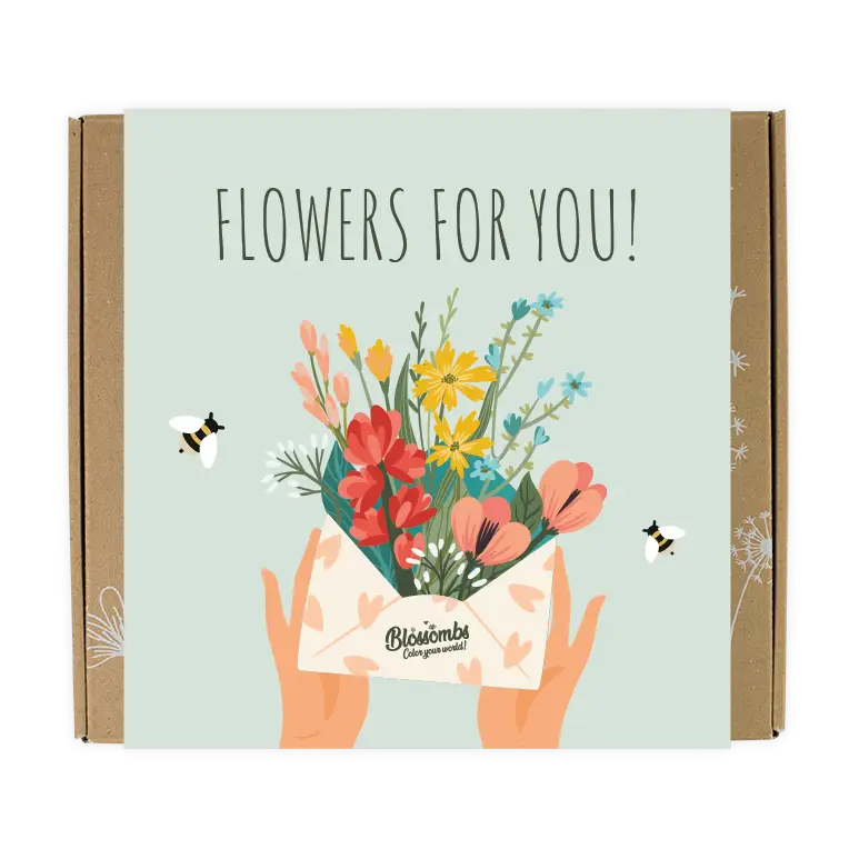 Coffret « Des fleurs pour toi » — 9 Bombes de Graines Colorées