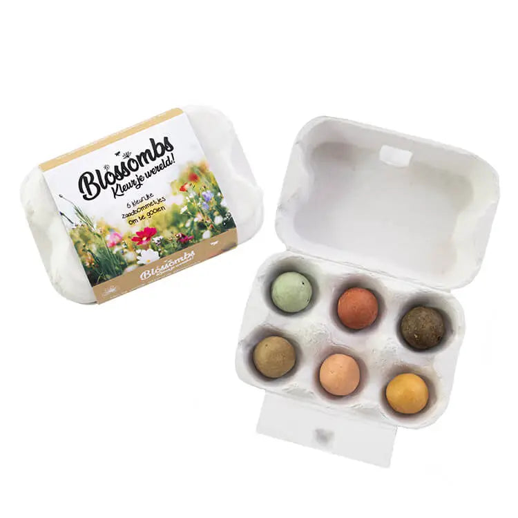 Boîte-cadeau Œuf — 6 Bombes de Graines Colorées