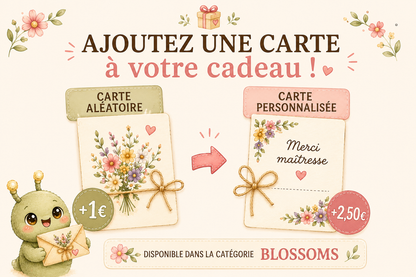 Coffret « Des fleurs pour toi » — 9 Bombes de Graines Colorées