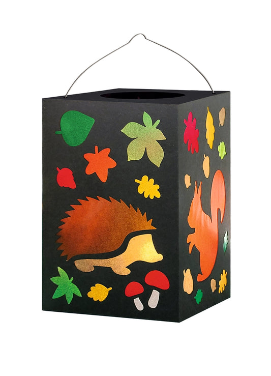 Set de bricolage lanterne — Animaux de la forêt 🦔🌿 - Dès 5 ans