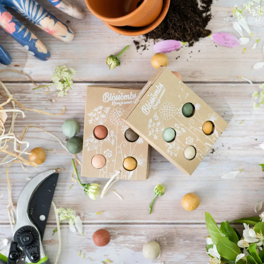 Mini Coffret — 4 Bombes de Graines